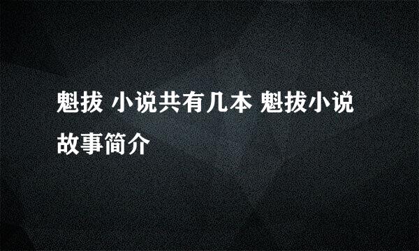 魁拔 小说共有几本 魁拔小说故事简介