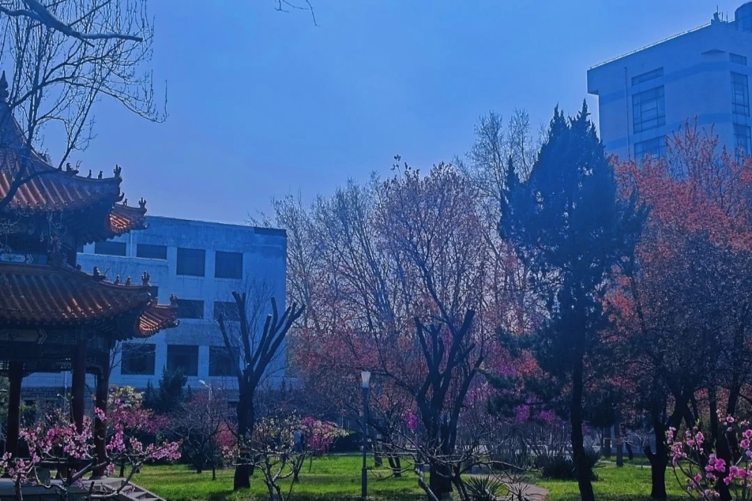 曲阜师范大学怎么样