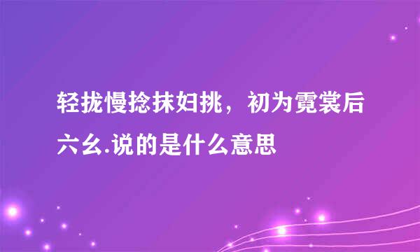 轻拢慢捻抹妇挑，初为霓裳后六幺.说的是什么意思