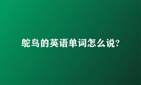 鸵鸟的英语单词怎么说?