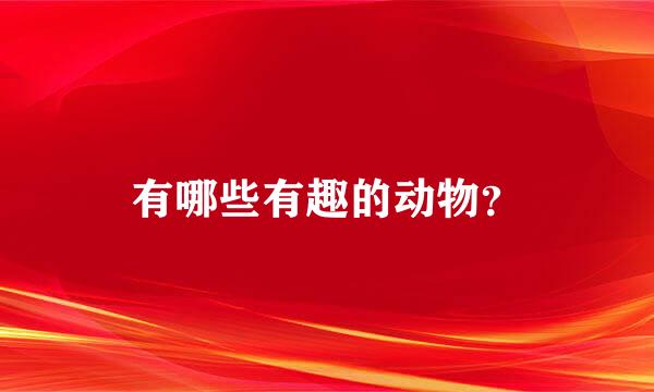 有哪些有趣的动物？