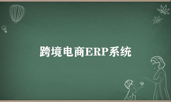 跨境电商ERP系统