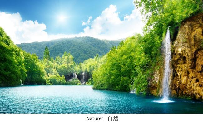 nature communications是什么意思？