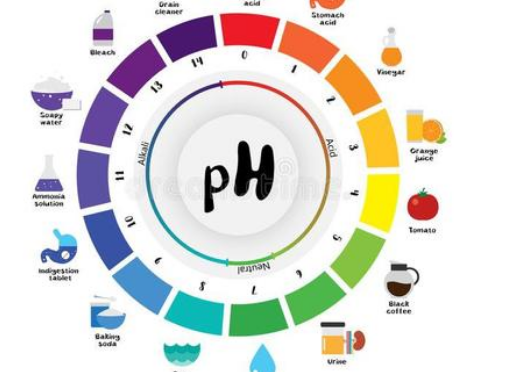 pH7等于中性吗