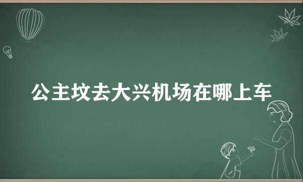 公主坟去大兴机场在哪上车