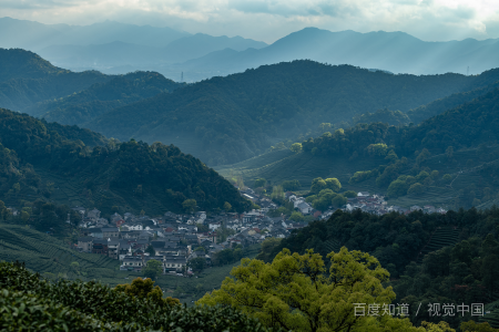 谈谈对中国茶文化的理解