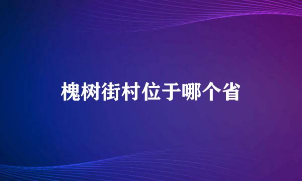 槐树街村位于哪个省