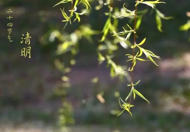 清明节的别名是什么?