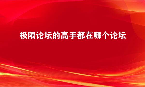 极限论坛的高手都在哪个论坛