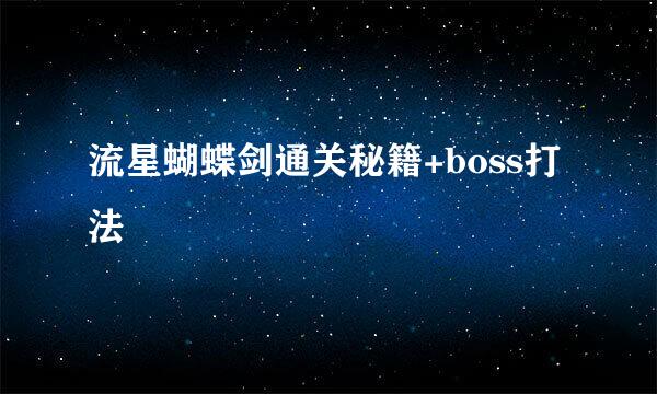 流星蝴蝶剑通关秘籍+boss打法