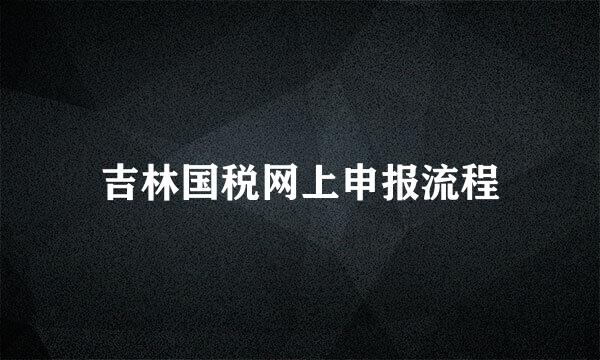 吉林国税网上申报流程