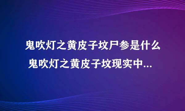 鬼吹灯之黄皮子坟尸参是什么 鬼吹灯之黄皮子坟现实中有尸参吗