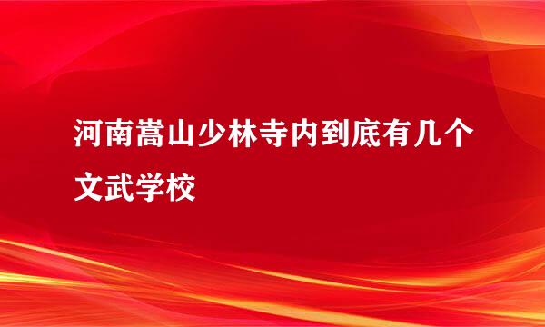 河南嵩山少林寺内到底有几个文武学校