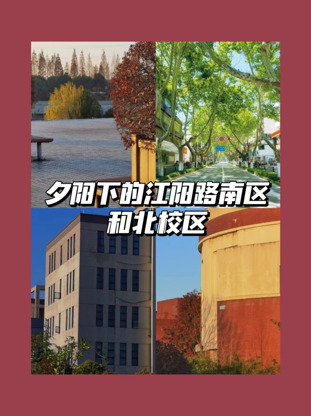 扬州大学有几个校区？