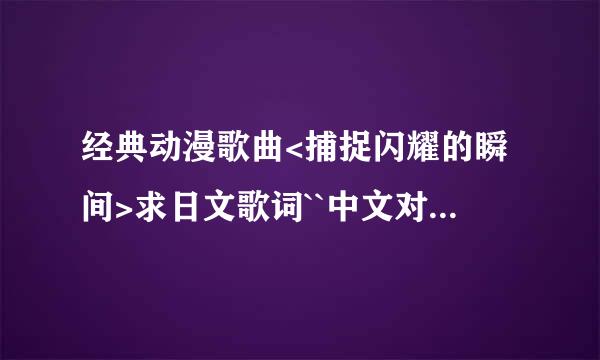 经典动漫歌曲<捕捉闪耀的瞬间>求日文歌词``中文对照歌词~