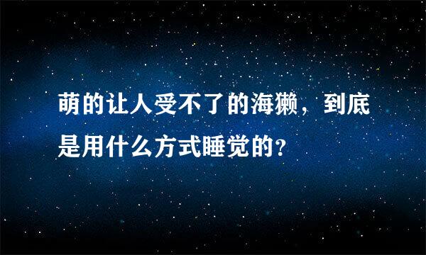 萌的让人受不了的海獭，到底是用什么方式睡觉的？