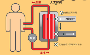 透析是什么意思啊