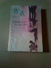 风雨乾坤三声叹，天上人间一回眸。是什么意思