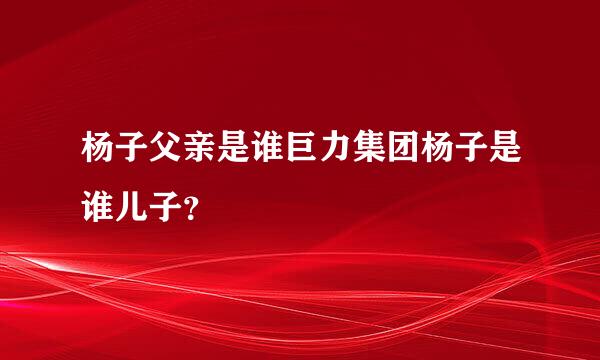 杨子父亲是谁巨力集团杨子是谁儿子？