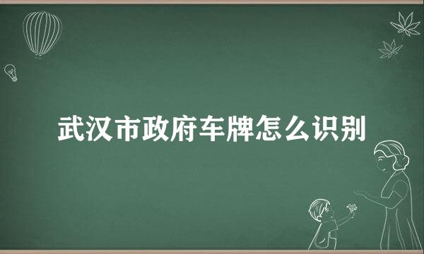 武汉市政府车牌怎么识别