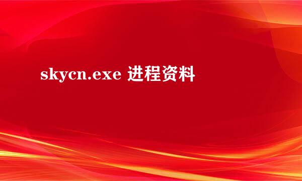 skycn.exe 进程资料