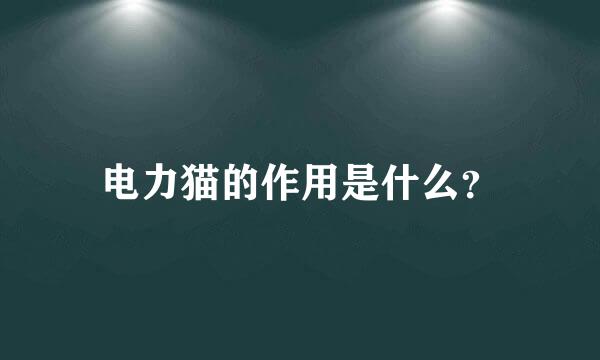 电力猫的作用是什么？