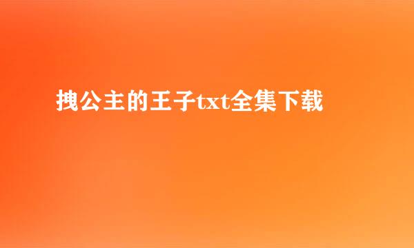 拽公主的王子txt全集下载