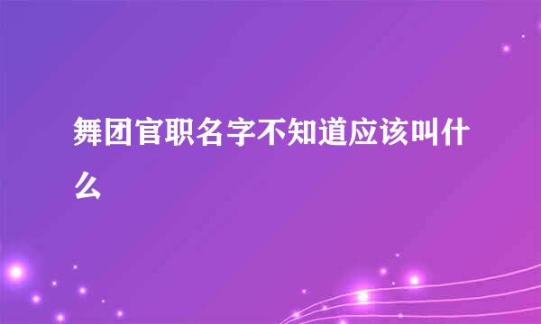 舞团官职名字不知道应该叫什么