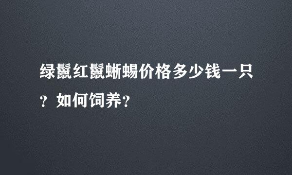 绿鬣红鬣蜥蜴价格多少钱一只？如何饲养？