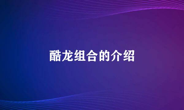 酷龙组合的介绍