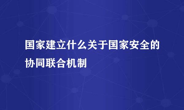 国家建立什么关于国家安全的协同联合机制