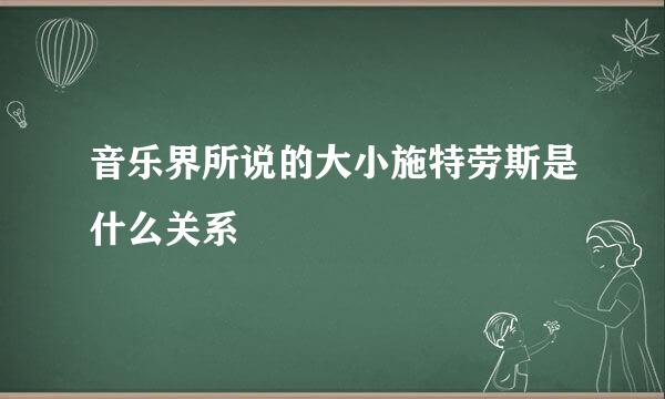 音乐界所说的大小施特劳斯是什么关系