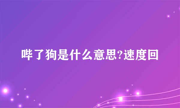 哔了狗是什么意思?速度回