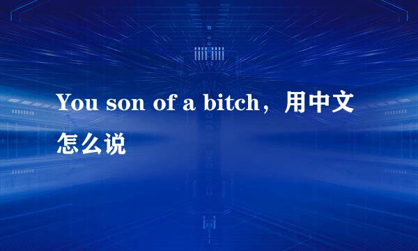 You son of a bitch，用中文怎么说