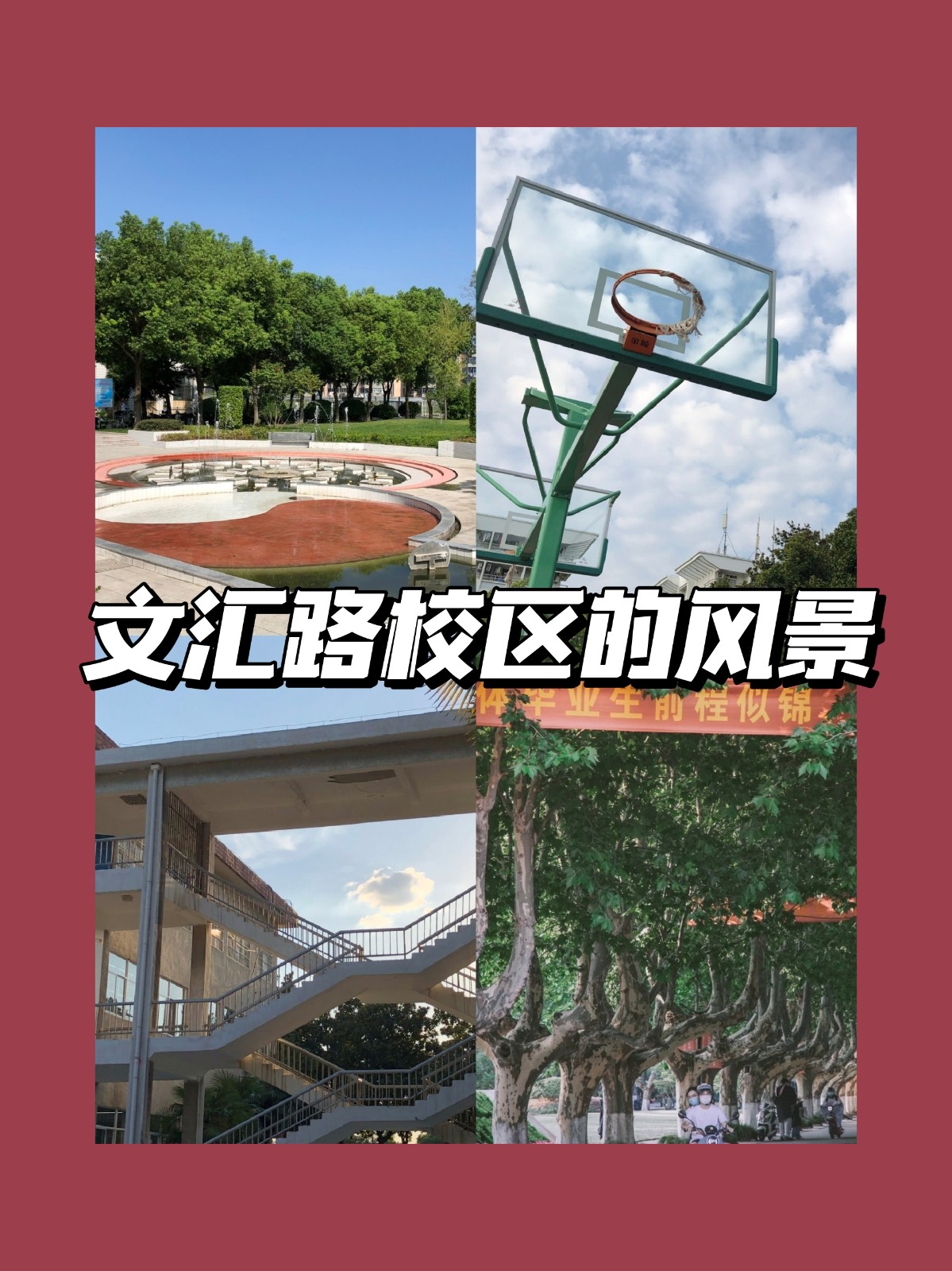 扬州大学有几个校区？