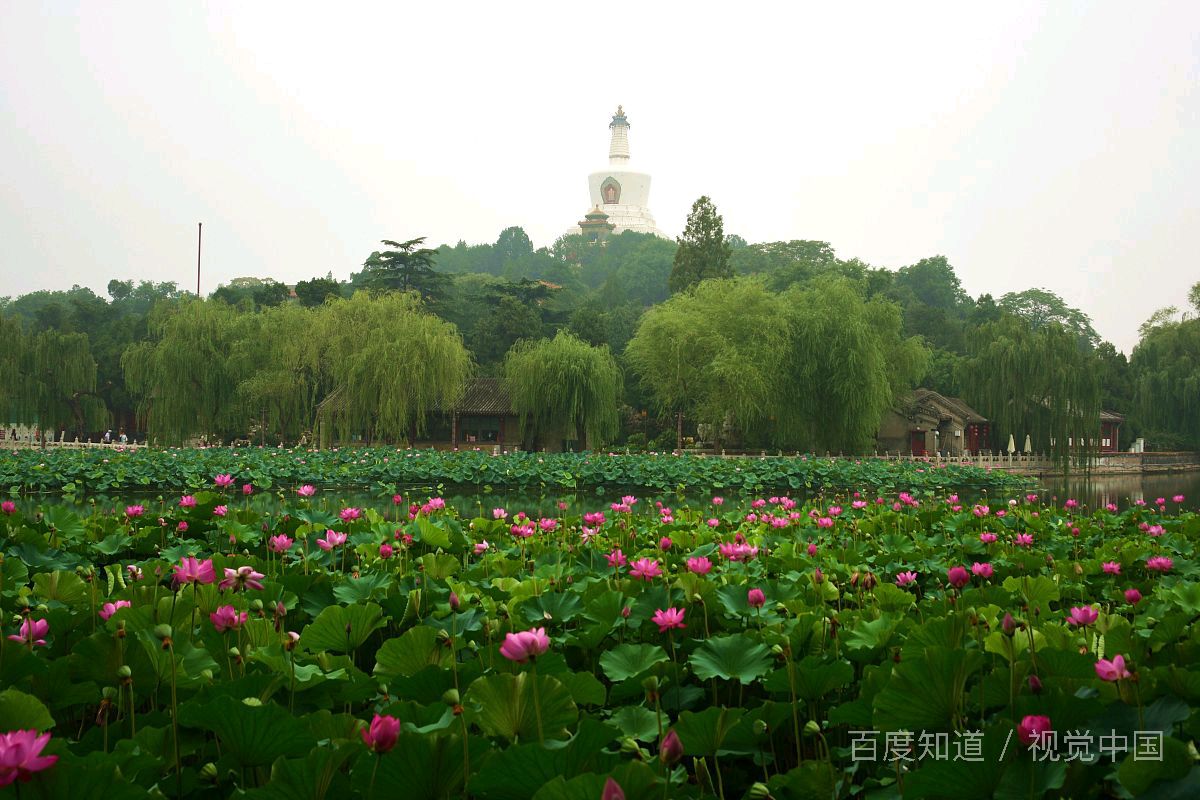 接天莲叶无穷碧,过雨荷花满院香,这两句诗是谁写的？