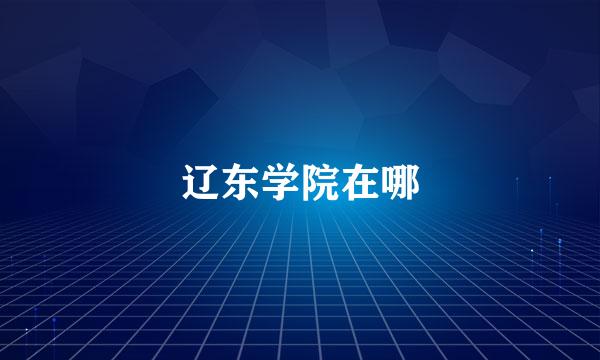 辽东学院在哪