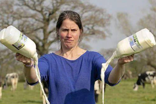 英国数万升牛奶被倒入下水道，此举究竟是为何？