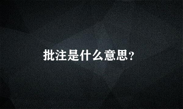 批注是什么意思？