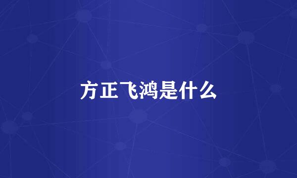 方正飞鸿是什么