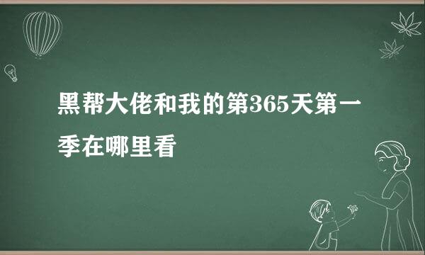 黑帮大佬和我的第365天第一季在哪里看