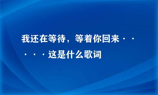 我还在等待，等着你回来·····这是什么歌词