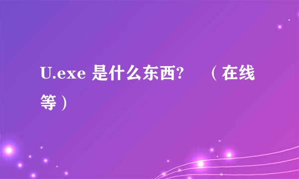 U.exe 是什么东西?    （在线等）