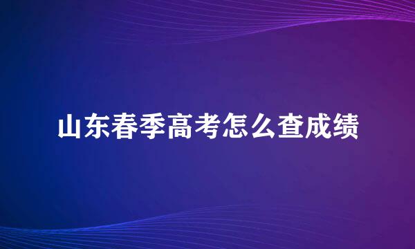 山东春季高考怎么查成绩