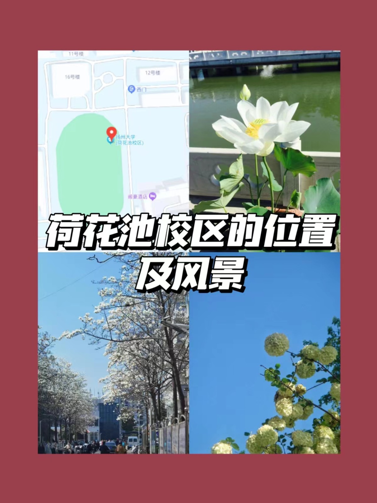 扬州大学有几个校区？