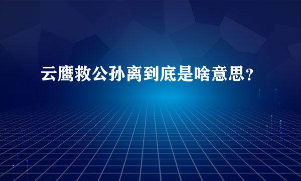 云鹰救公孙离到底是啥意思？