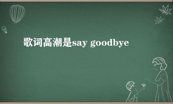 歌词高潮是say goodbye