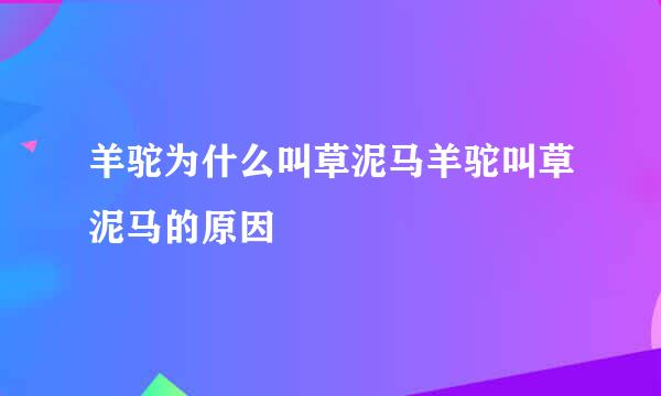 羊驼为什么叫草泥马羊驼叫草泥马的原因