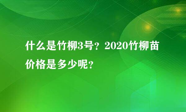 什么是竹柳3号？2020竹柳苗价格是多少呢？