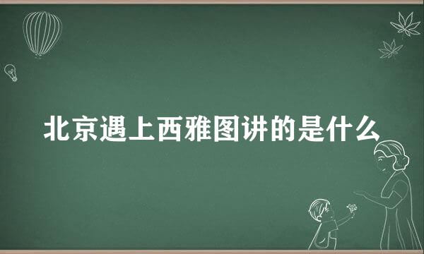 北京遇上西雅图讲的是什么